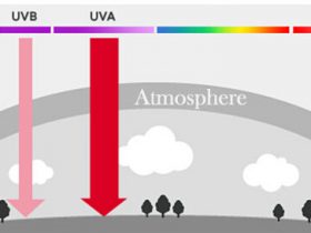 What is UV Light?